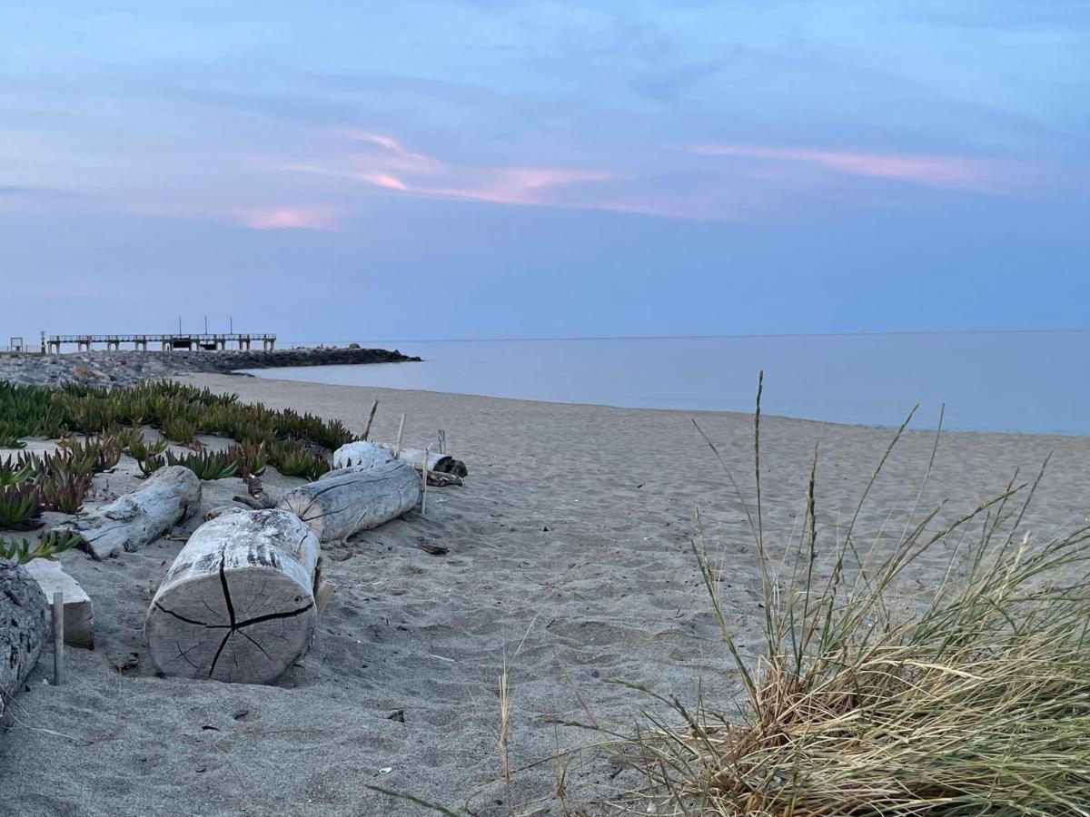 Ferienhaus In Residence Naturiste Direkt Am Strand Leucate Eksteriør billede